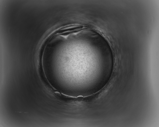 X0000088090247200705251435