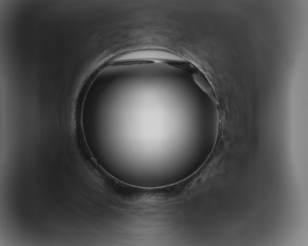 X0000088090248200705251435