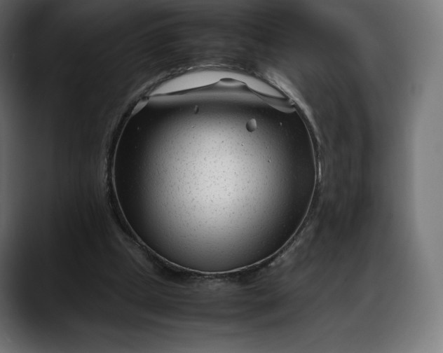 X0000088090249200705251435