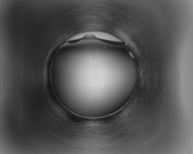 X0000088090250200705251435