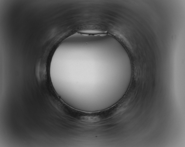 X0000088090251200705251435