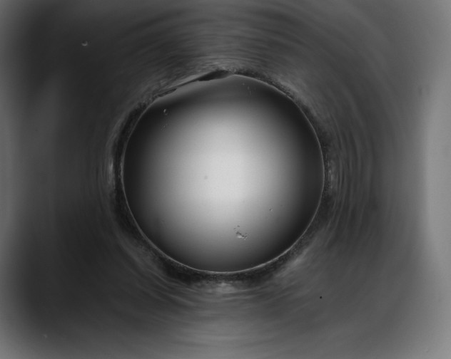 X0000088090254200705251435