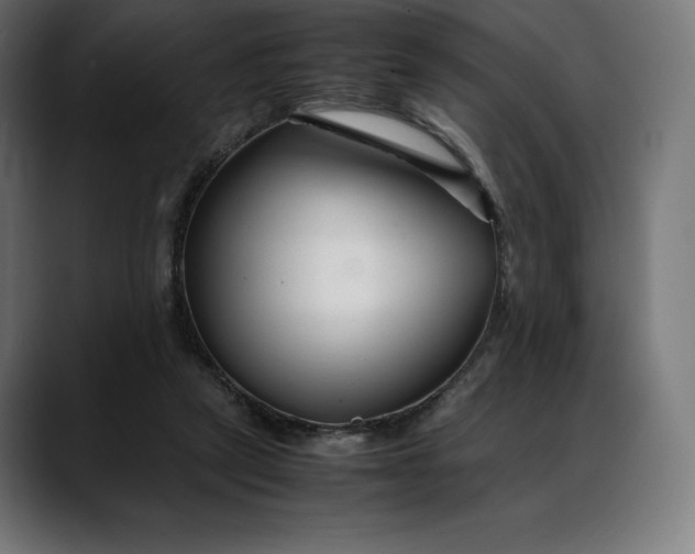 X0000088090257200705251435