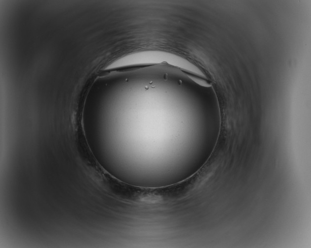 X0000088090258200705251435