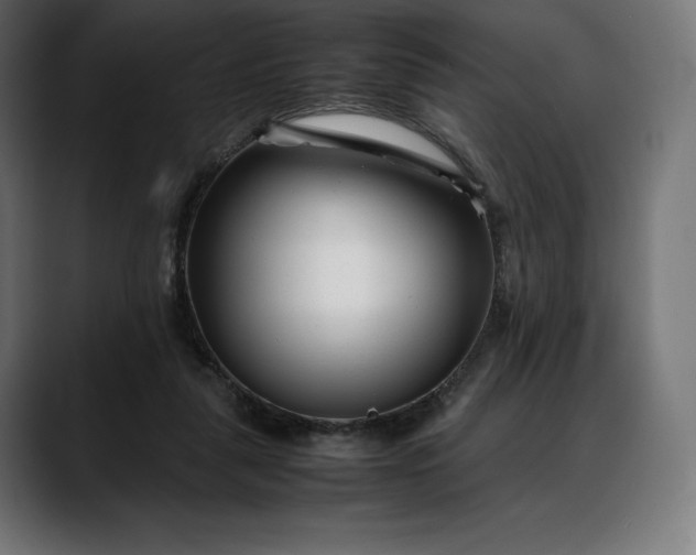 X0000088090259200705251435