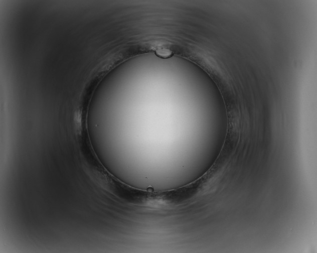 X0000088090262200705251435