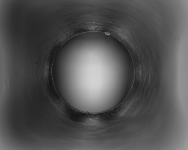 X0000088090263200705251435