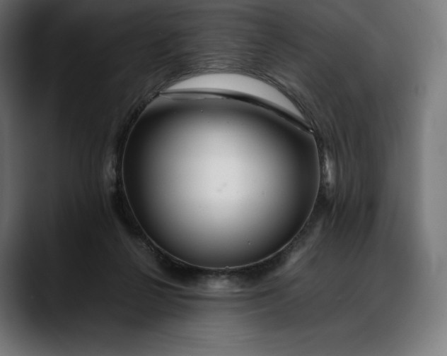 X0000088090264200705251435