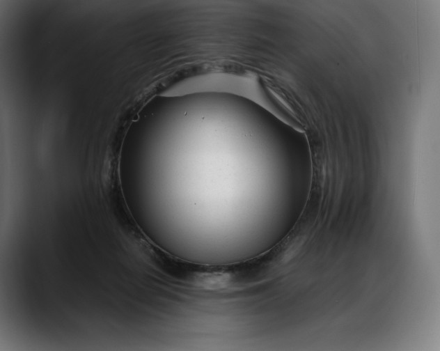 X0000088090266200705251435