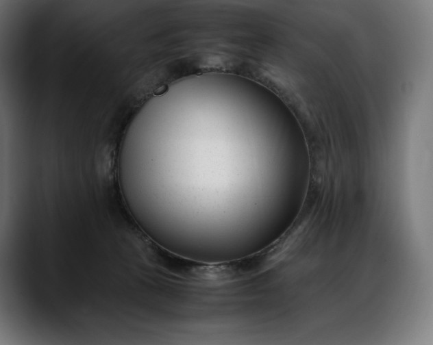 X0000088090273200705251435