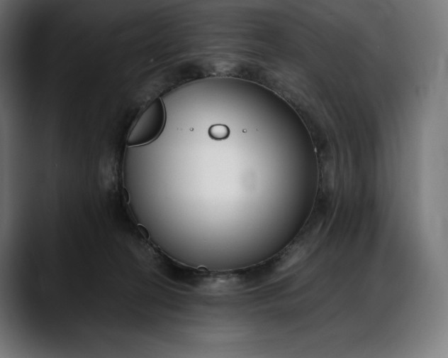 X0000088090274200705251435