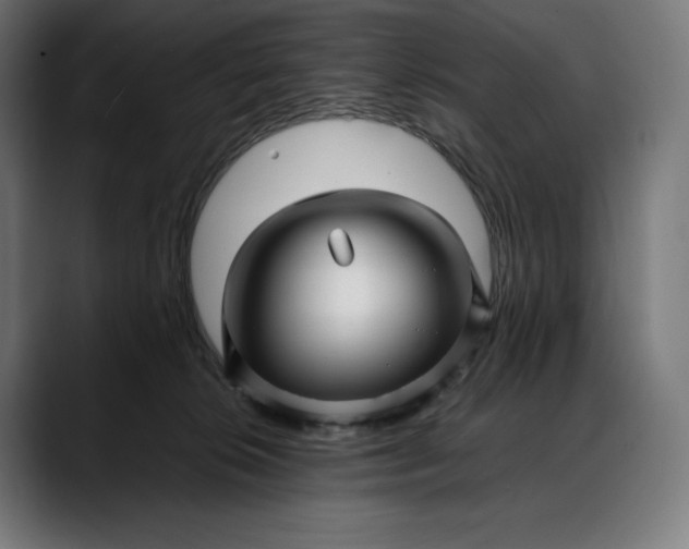 X0000088090276200705251435