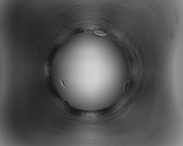 X0000088090282200705251435