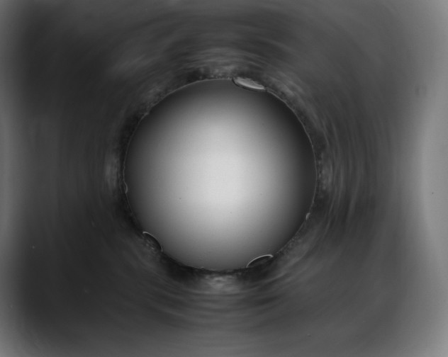 X0000088090283200705251435