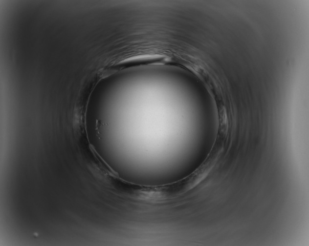 X0000088090284200705251435