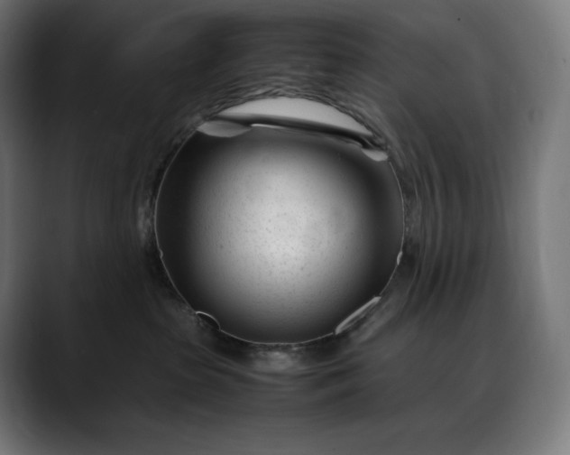 X0000088090285200705251435