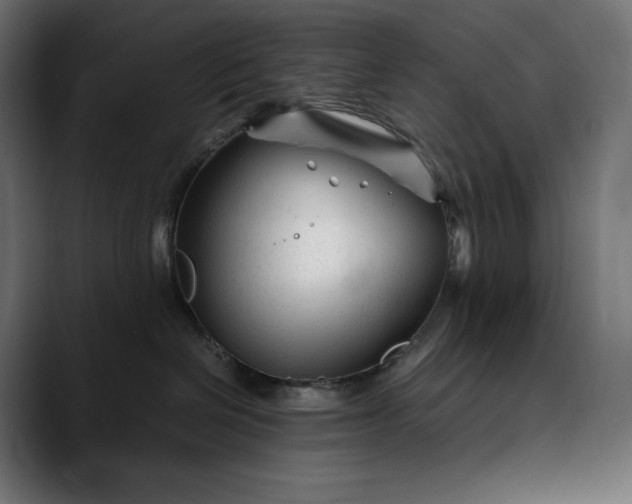 X0000088090286200705251435