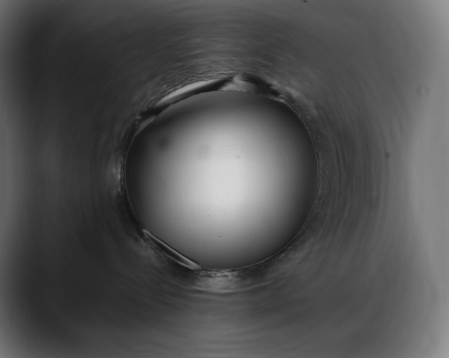 X0000088090288200705251435