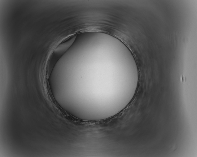 X0000088090289200705251435