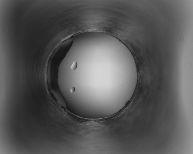 X0000088090290200705251434