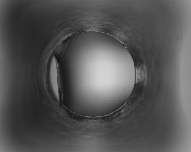 X0000088090291200705251434