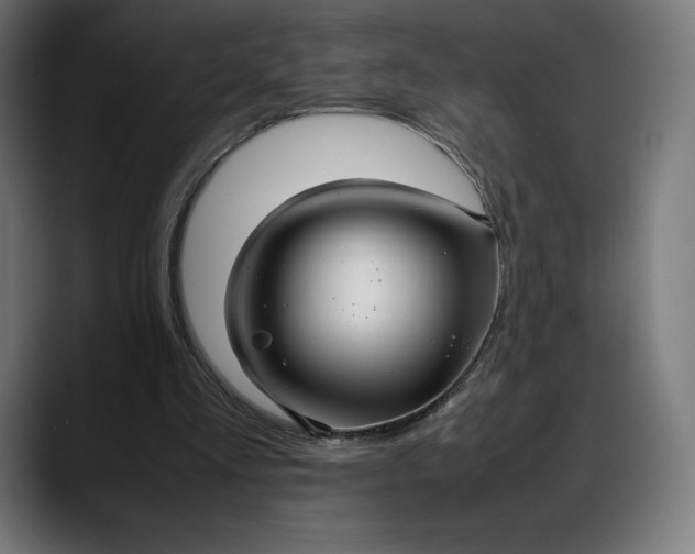 X0000088090293200705251434