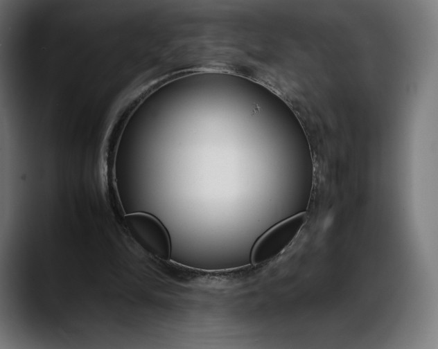 X0000088090294200705251434