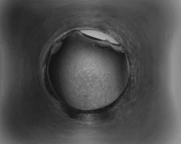 X0000088090295200705251434