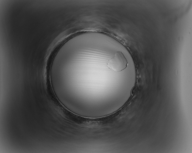 X0000088090296200705251434