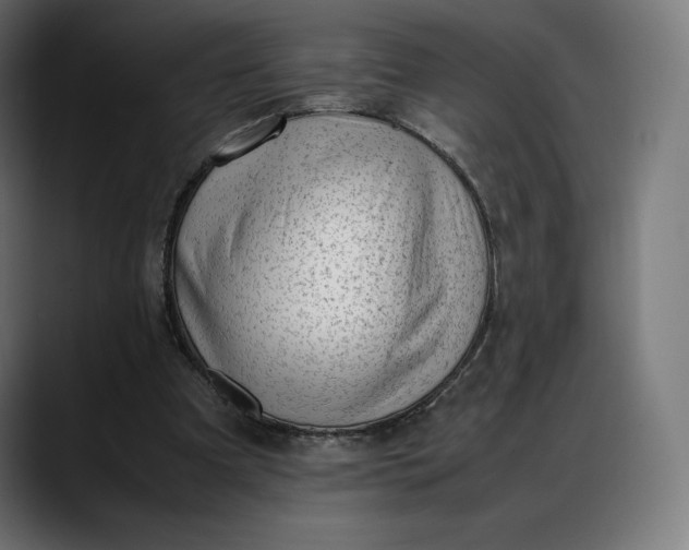 X0000088090297200705251434