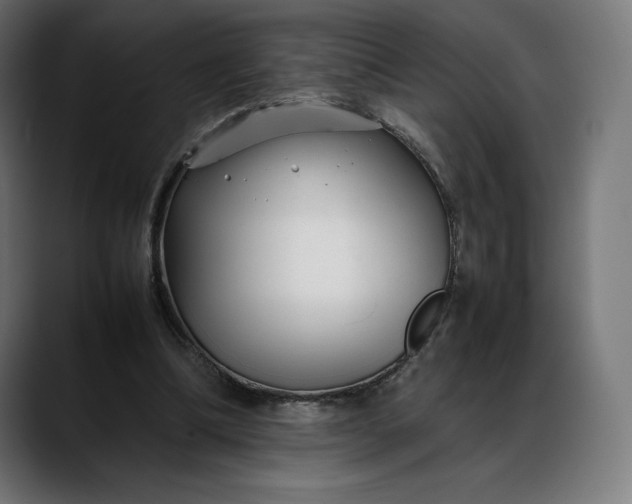 X0000088090298200705251434