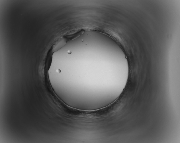 X0000088090299200705251434