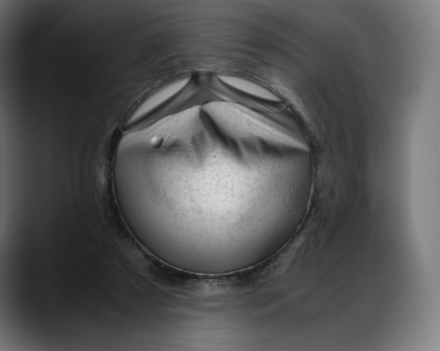 X0000088090305200705251434