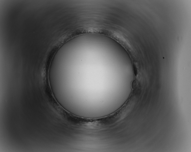 X0000088090306200705251434