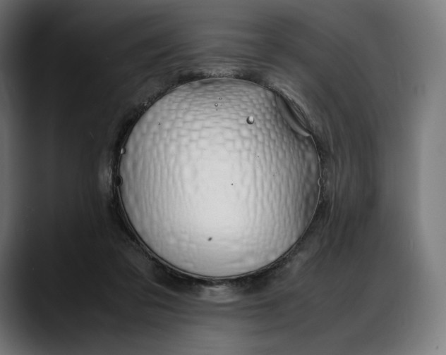 X0000088090309200705251434