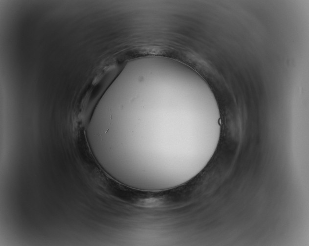 X0000088090312200705251434