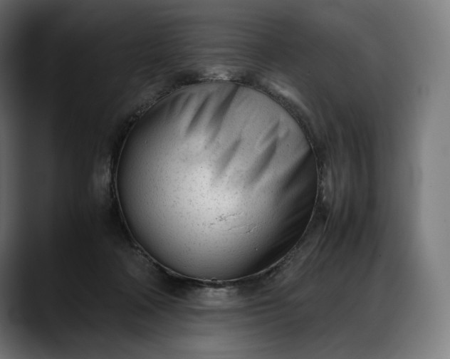 X0000088090314200705251434