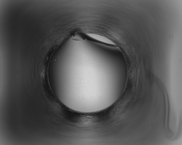 X0000088090315200705251434