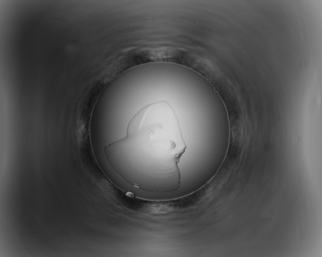 X0000088090327200705251434