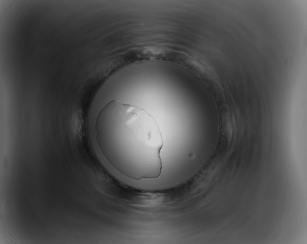 X0000088090328200705251434