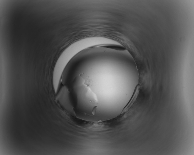 X0000088090329200705251434