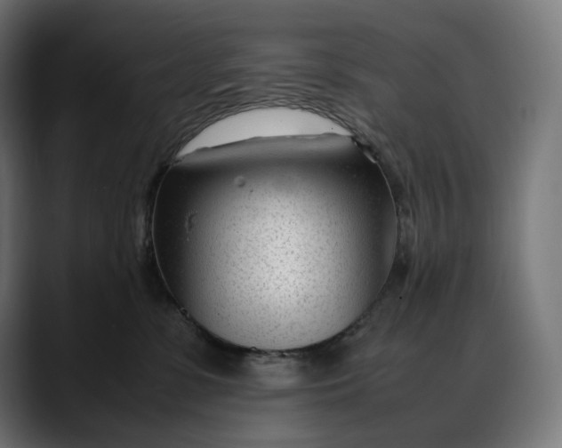 X0000088090331200705251434