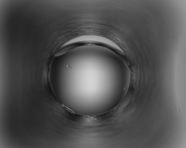 X0000088090333200705251434