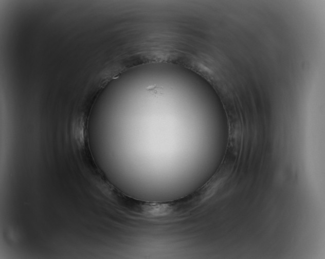 X0000088090334200705251434