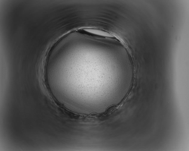 X0000088090337200705251433