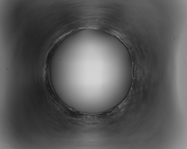 X0000088090338200705251433