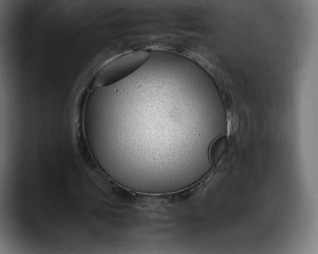 X0000088090339200705251433