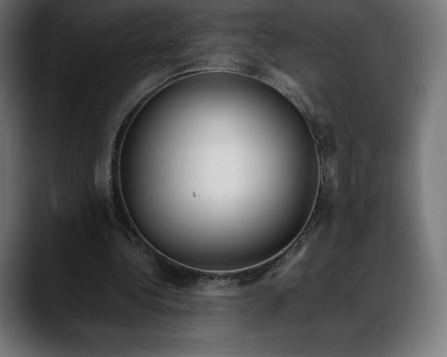 X0000088090340200705251433