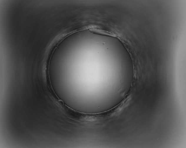 X0000088090341200705251433