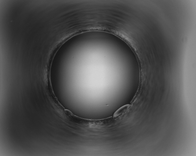 X0000088090345200705251433